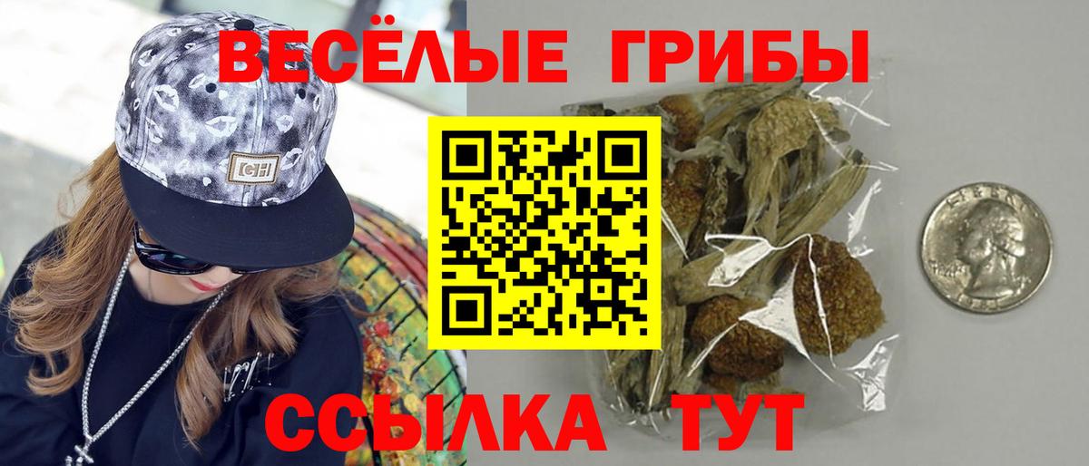 Псилоцибиновые грибы Psilocybe Мегион